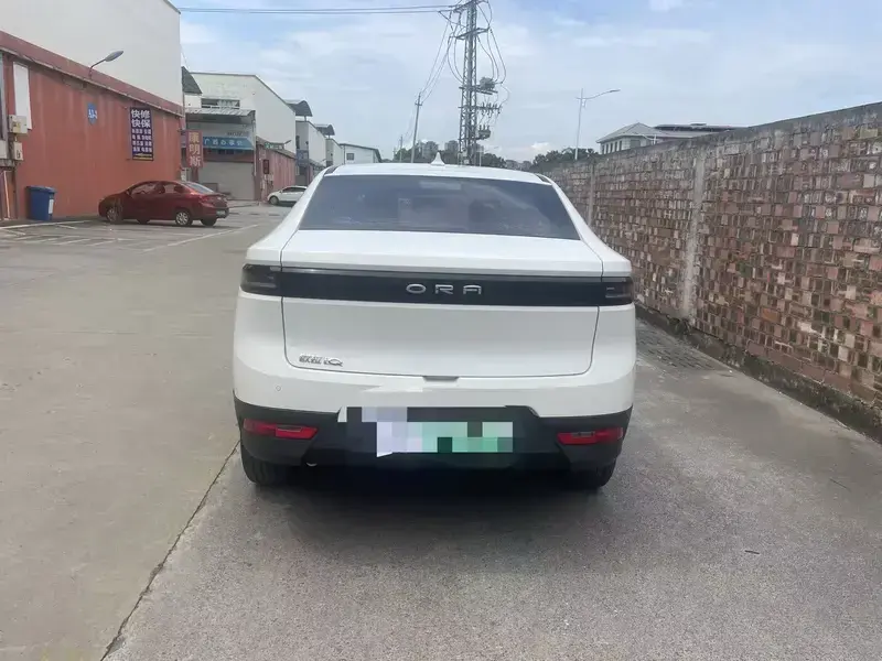 2019 Ora iQ с пробегом 74 100 км