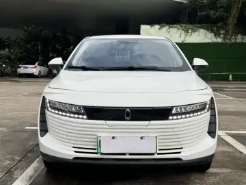 2019 Ora iQ с пробегом 101 000 км