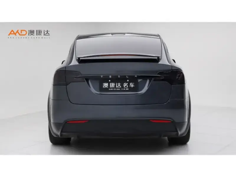 2023 Tesla Model X с пробегом 55 800 км