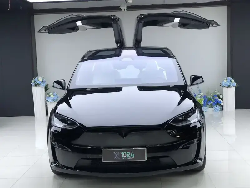 2023 Tesla Model X с пробегом 56 000 км