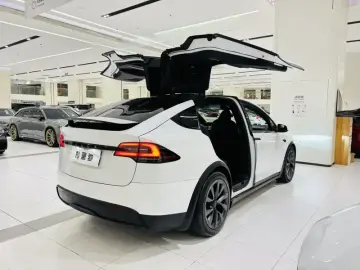 2023 Tesla Model X с пробегом 67 000 км