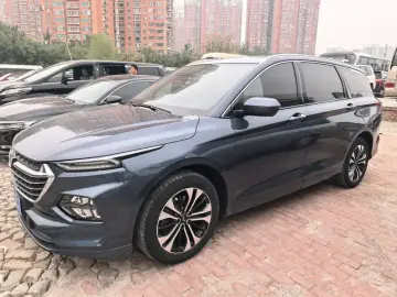 Wuling Victory
