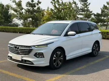 Wuling Victory