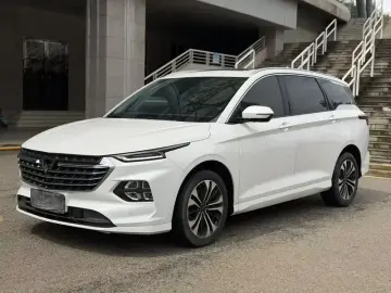 Wuling Victory