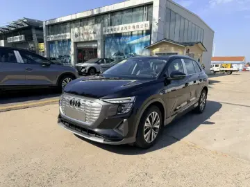 2023 Audi Q5 e-tron с пробегом 100 км