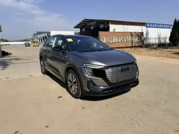 2023 Audi Q5 e-tron с пробегом 100 км
