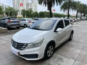 Baojun 310