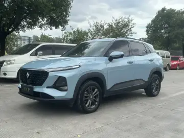 Baojun RS-3