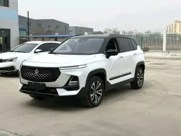 Baojun RS-5