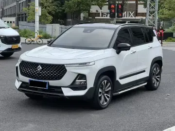 Baojun RS-5