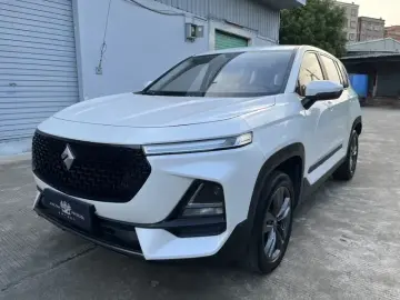 Baojun RS-5