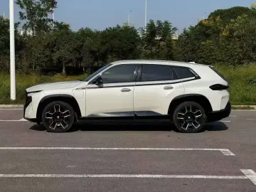 2023 BMW XM с пробегом 21 300 км
