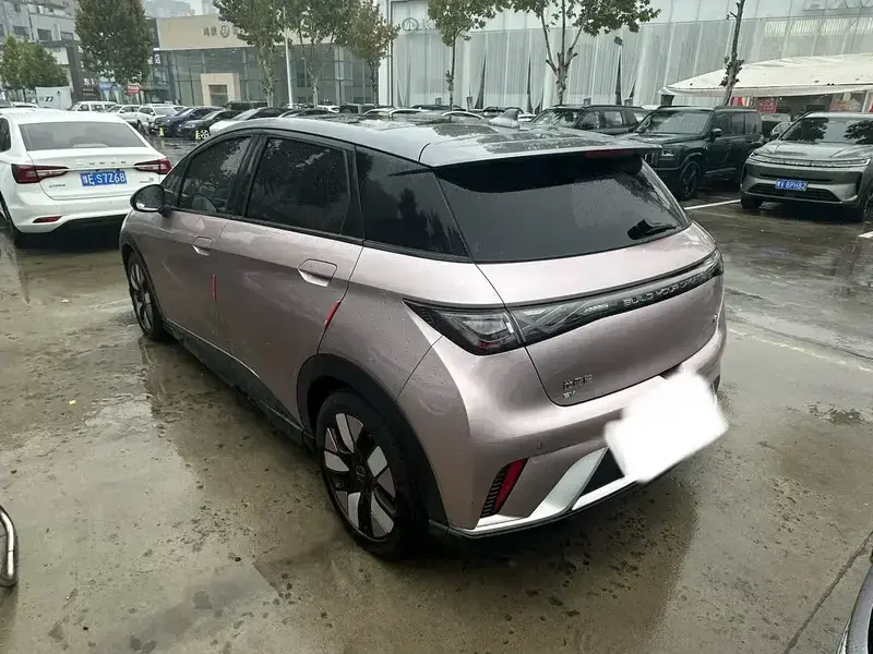 2024 BYD Dolphin с пробегом 65 700 км