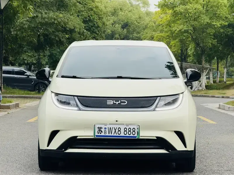 2025 BYD Dolphin с пробегом 10 000 км