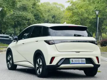 2025 BYD Dolphin с пробегом 10 000 км