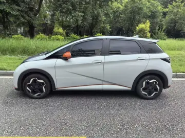 2021 BYD Dolphin с пробегом 65 000 км