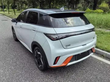 2021 BYD Dolphin с пробегом 65 000 км