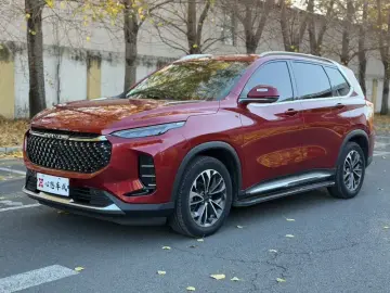 Maxus D60