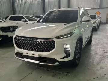 Maxus D60