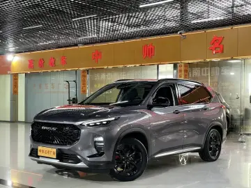 Maxus D60
