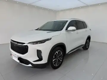 Maxus D60