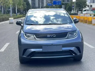 2024 BYD Dolphin с пробегом 31 000 км