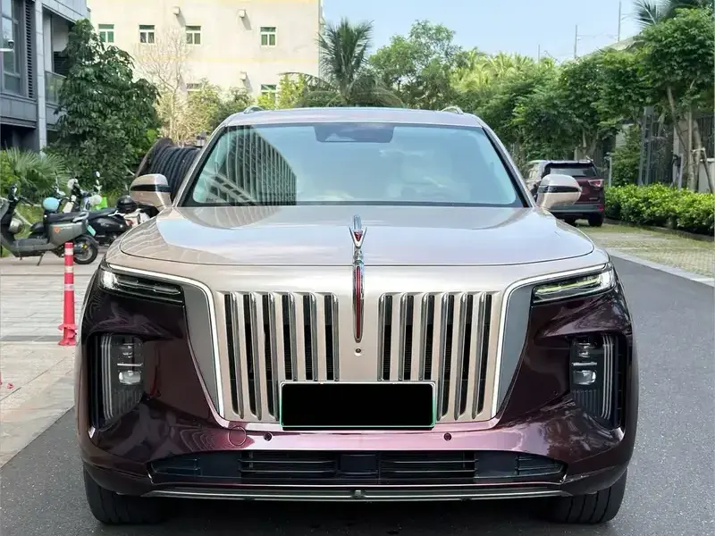 2020 Hongqi E-HS9 с пробегом 85 000 км