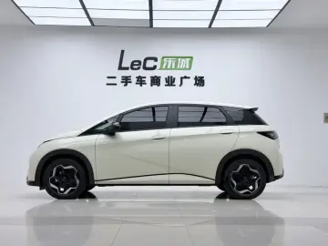2021 BYD Dolphin с пробегом 9 000 км
