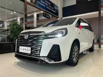 2023 Buick GL8 с пробегом 39 000 км