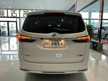 2023 Buick GL8 с пробегом 39 000 км