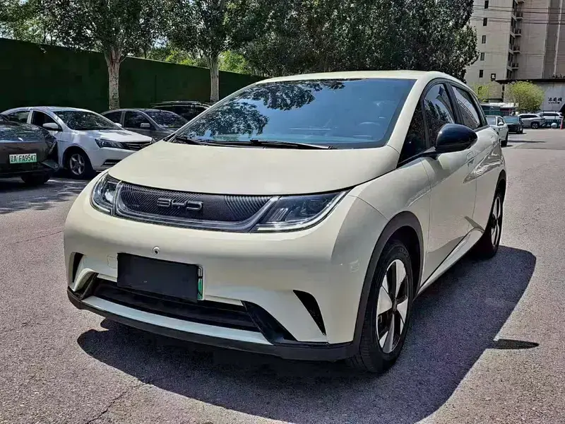 2024 BYD Dolphin с пробегом 50 000 км