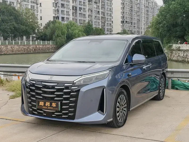 2025 BYD Xia (M9) с пробегом 25 000 км