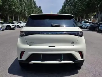 2024 BYD Dolphin с пробегом 50 000 км