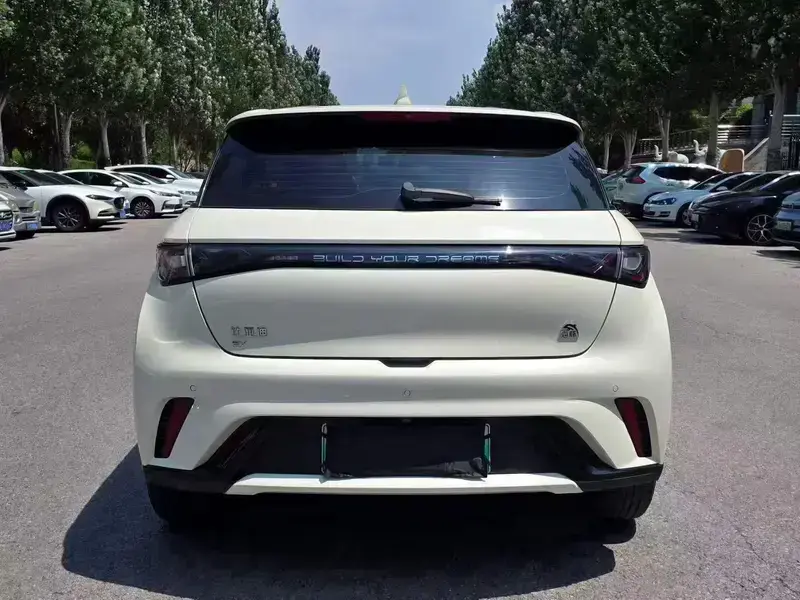 2024 BYD Dolphin с пробегом 50 000 км