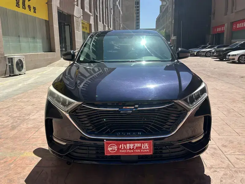 2020 Oshan X7 с пробегом 100 000 км