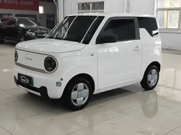 Geely Panda