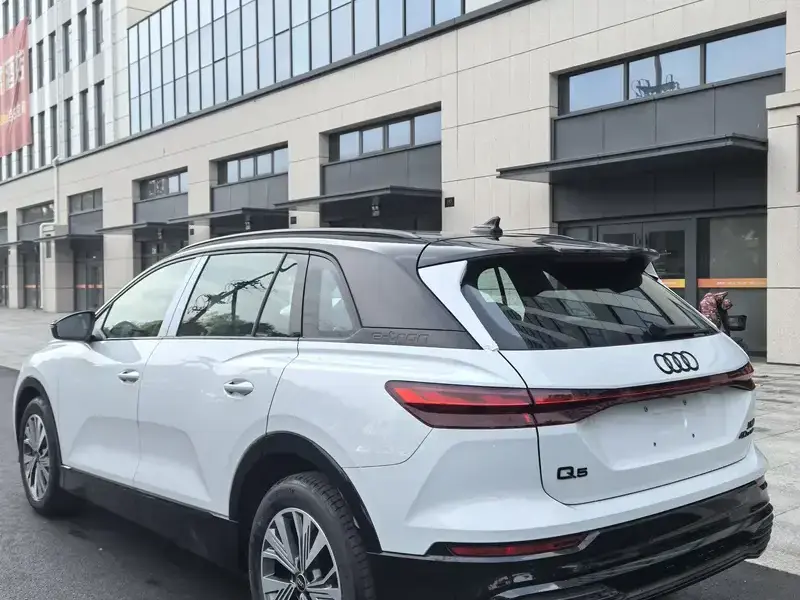 2023 Audi Q5 e-tron с пробегом 100 км