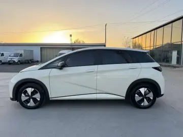 2023 BYD Dolphin с пробегом 19 000 км