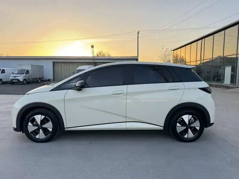 2023 BYD Dolphin с пробегом 19 000 км