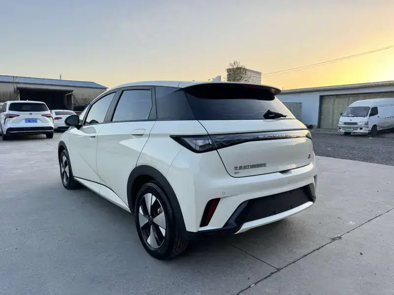 2023 BYD Dolphin с пробегом 19 000 км