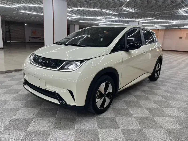 2023 BYD Dolphin с пробегом 55 000 км