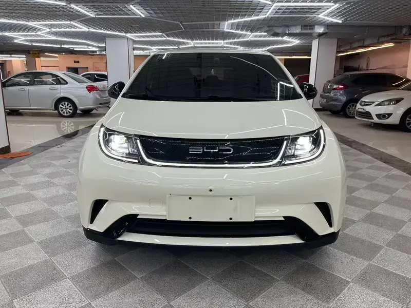 2023 BYD Dolphin с пробегом 55 000 км