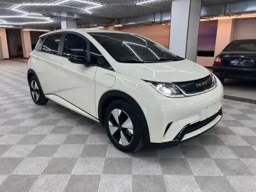 2023 BYD Dolphin с пробегом 55 000 км