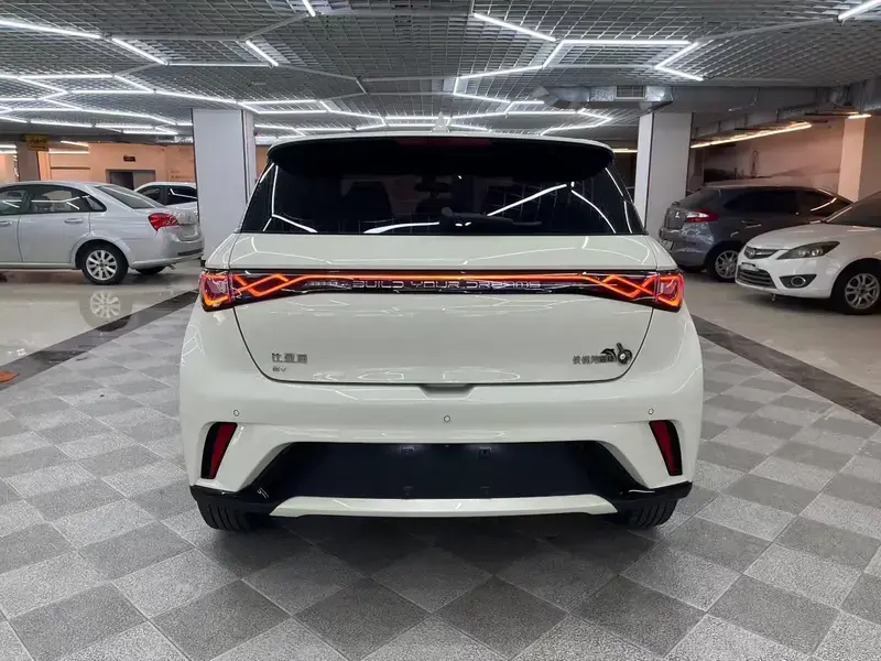 2023 BYD Dolphin с пробегом 55 000 км
