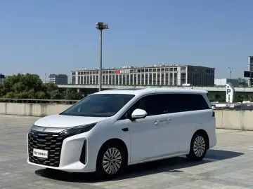 2025 BYD Xia (M9) с пробегом 29 000 км