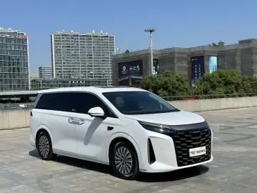 2025 BYD Xia (M9) с пробегом 29 000 км