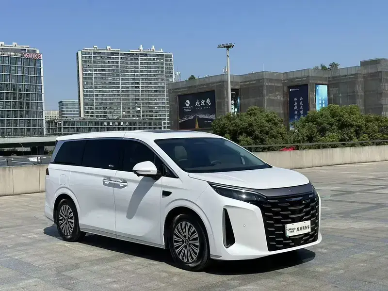 2025 BYD Xia (M9) с пробегом 29 000 км