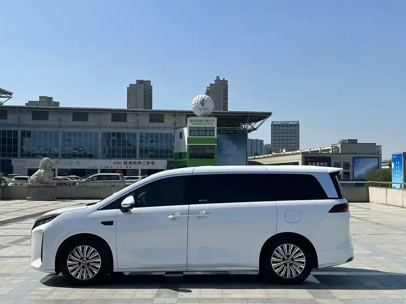 2025 BYD Xia (M9) с пробегом 29 000 км