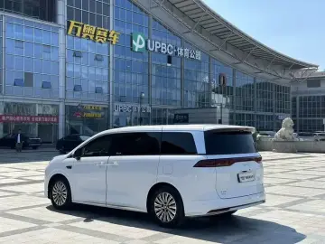 2025 BYD Xia (M9) с пробегом 29 000 км