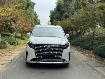 2022 Buick GL8 с пробегом 66 000 км